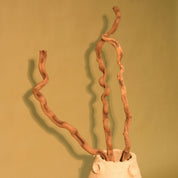 Natural Dried Spiral Vine Sticks