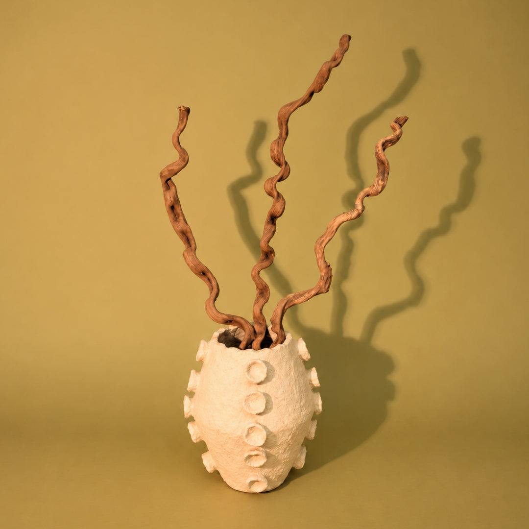 Natural Dried Spiral Vine Sticks