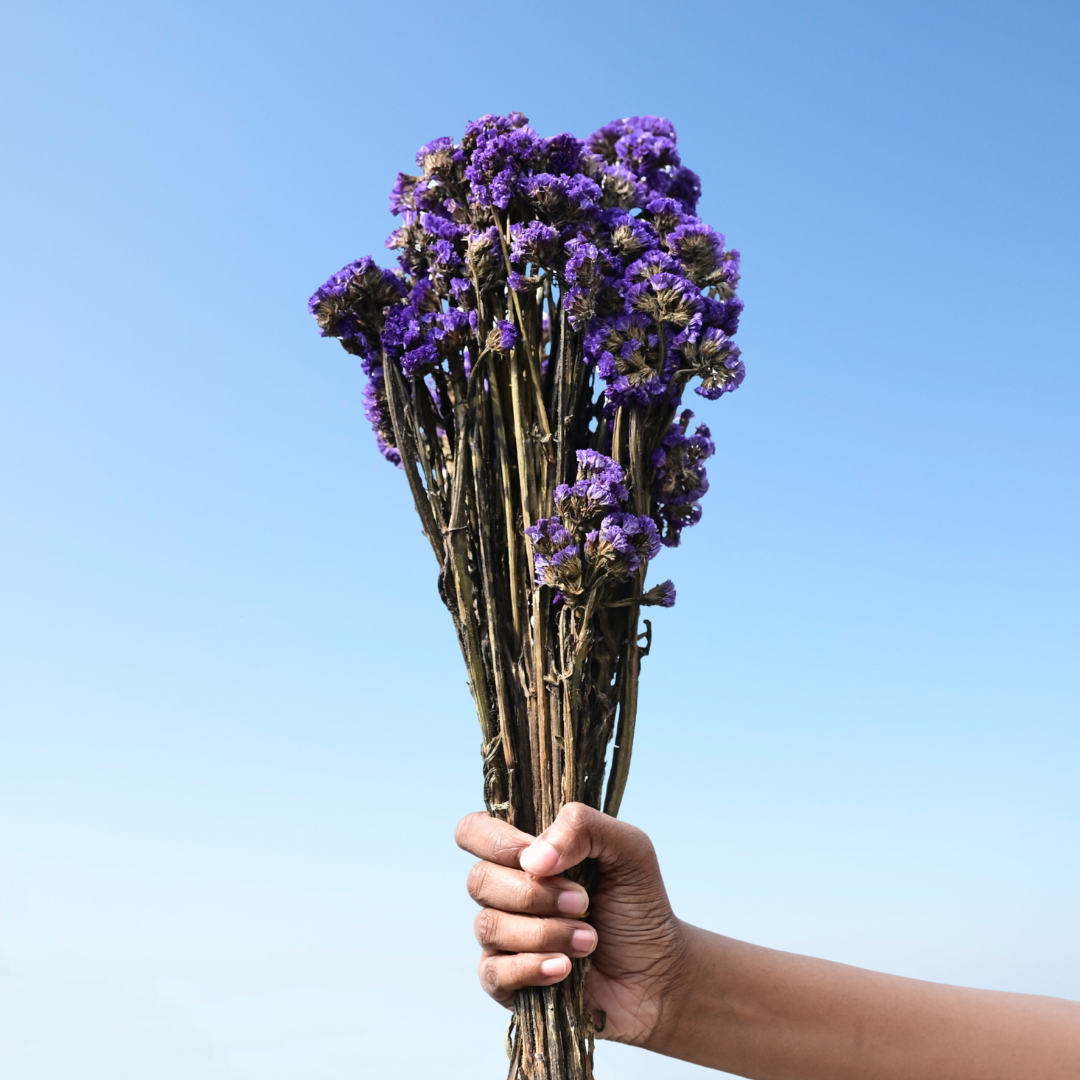 86_8dfa0d80-4b5d-438d-b685-4cc746693c9f.png