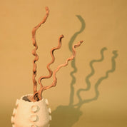 Natural Dried Spiral Vine Sticks
