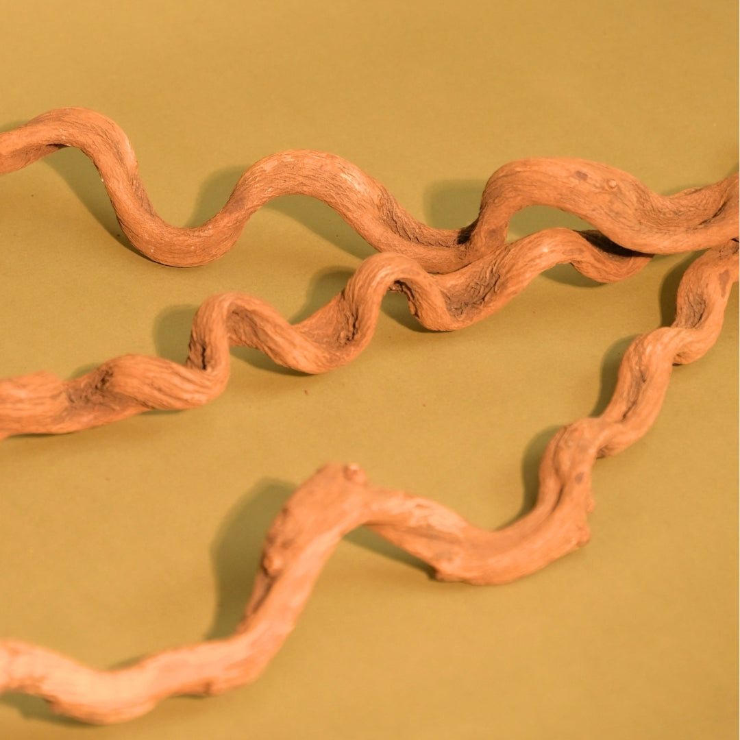Natural Dried Spiral Vine Sticks