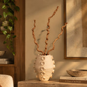 Natural Dried Spiral Vine Sticks