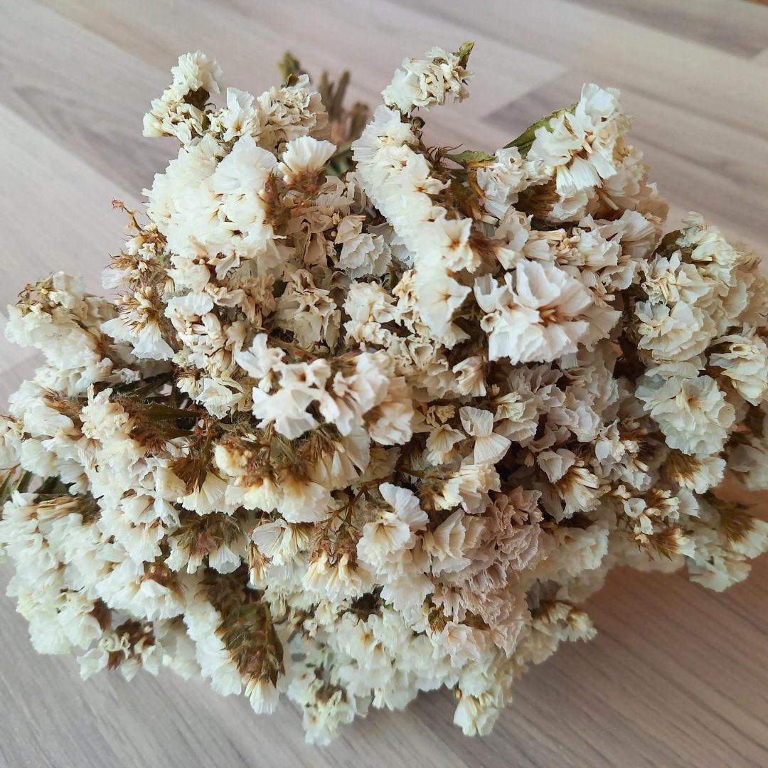 Natural Dried Statice Flower Bunch