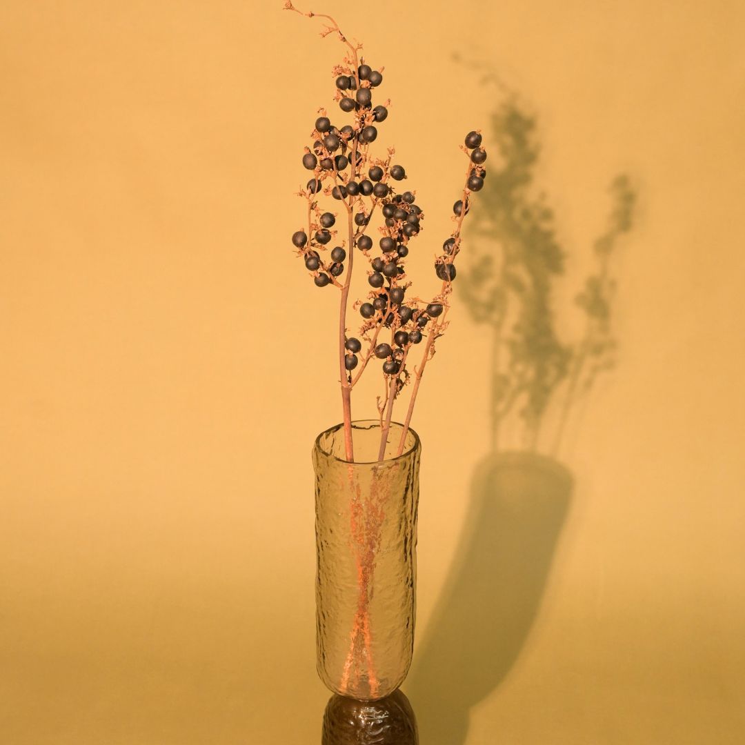 Natural Dried Black Berry Stems