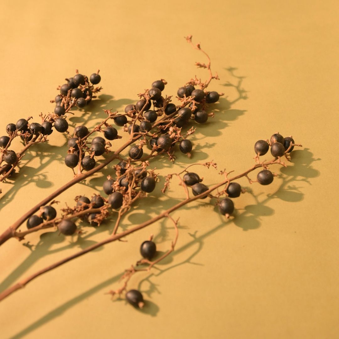 Natural Dried Black Berry Stems