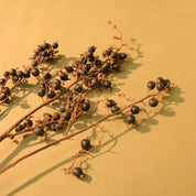 Natural Dried Black Berry Stems