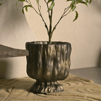 Bronze Gold Raya Organic Planter