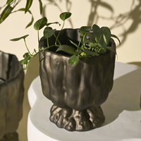 Bronze Gold Raya Organic Planter