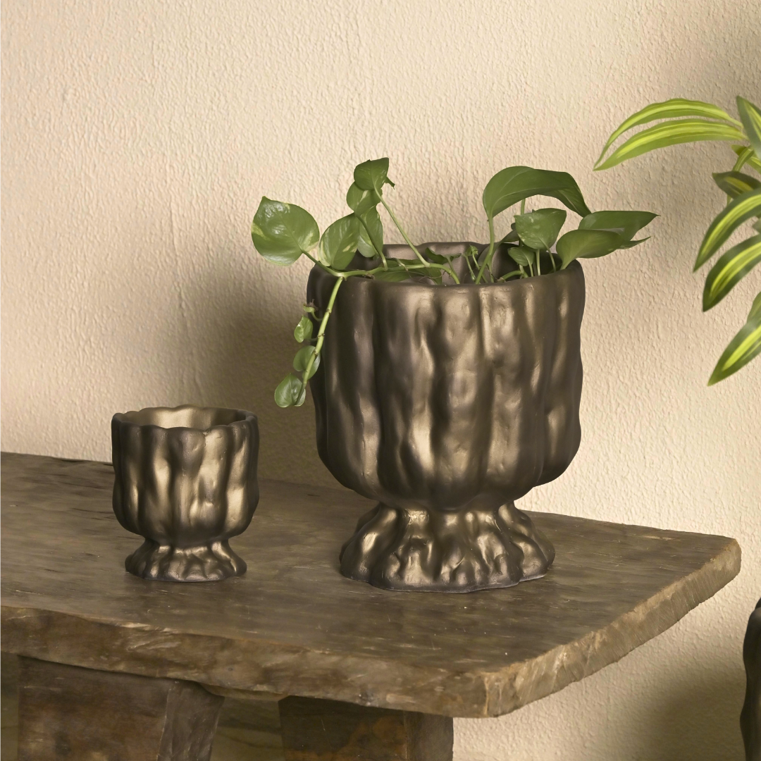 Raya Organic Planter