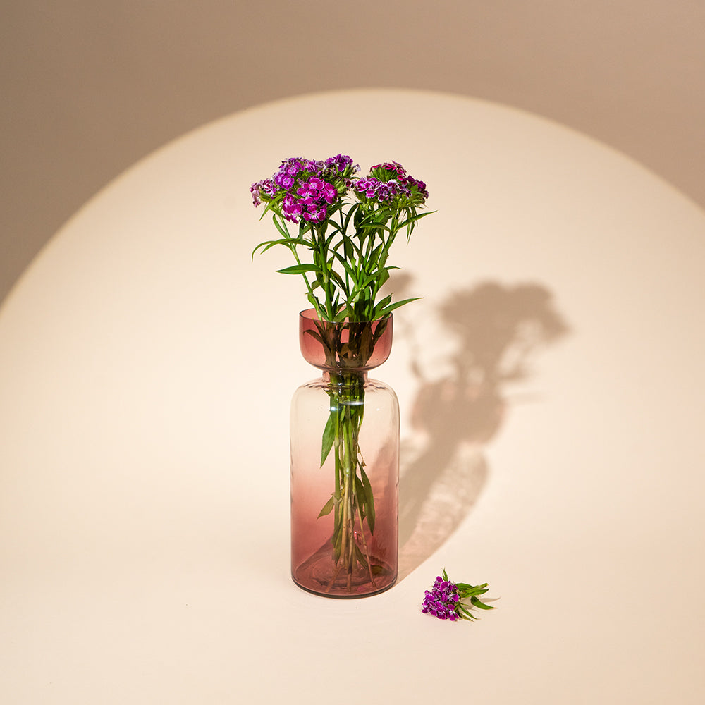 Tinted Glass Vases