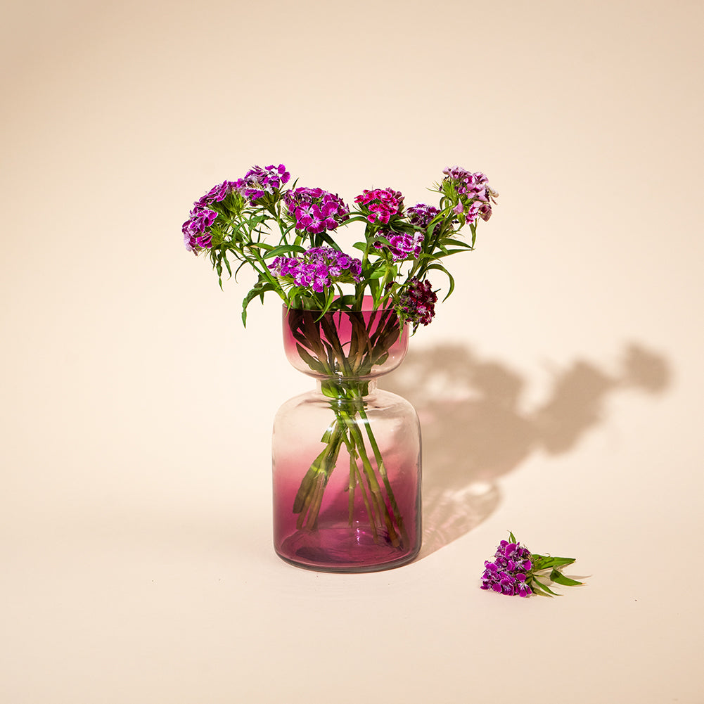 Tinted Glass Vases