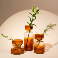 Tinted Glass Vases