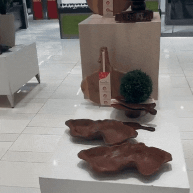 Spotted at Hudson Bay stores in North America