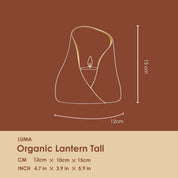 Luma Organic Lantern