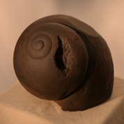 Kora Shell Organic Object