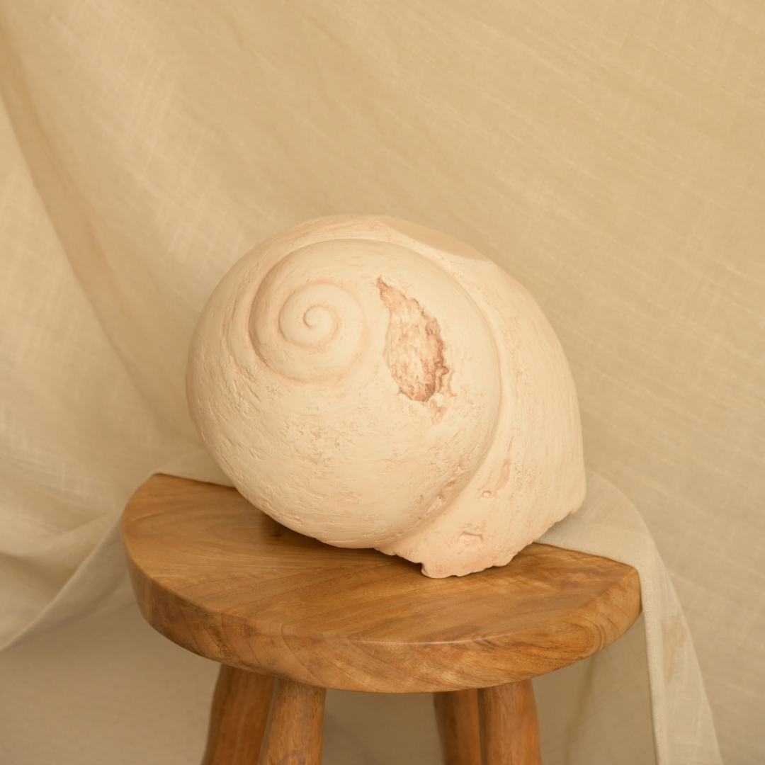 Kora Shell Organic Object