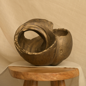 Kora Shell Organic Object