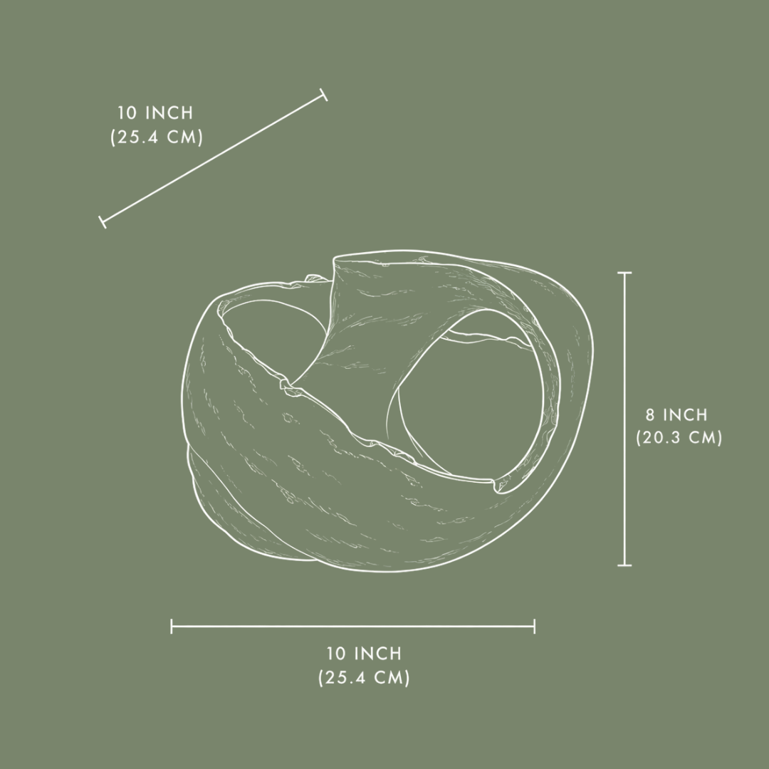 Kora Shell Organic Object