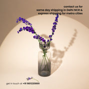 Tinted Glass Vase Grande