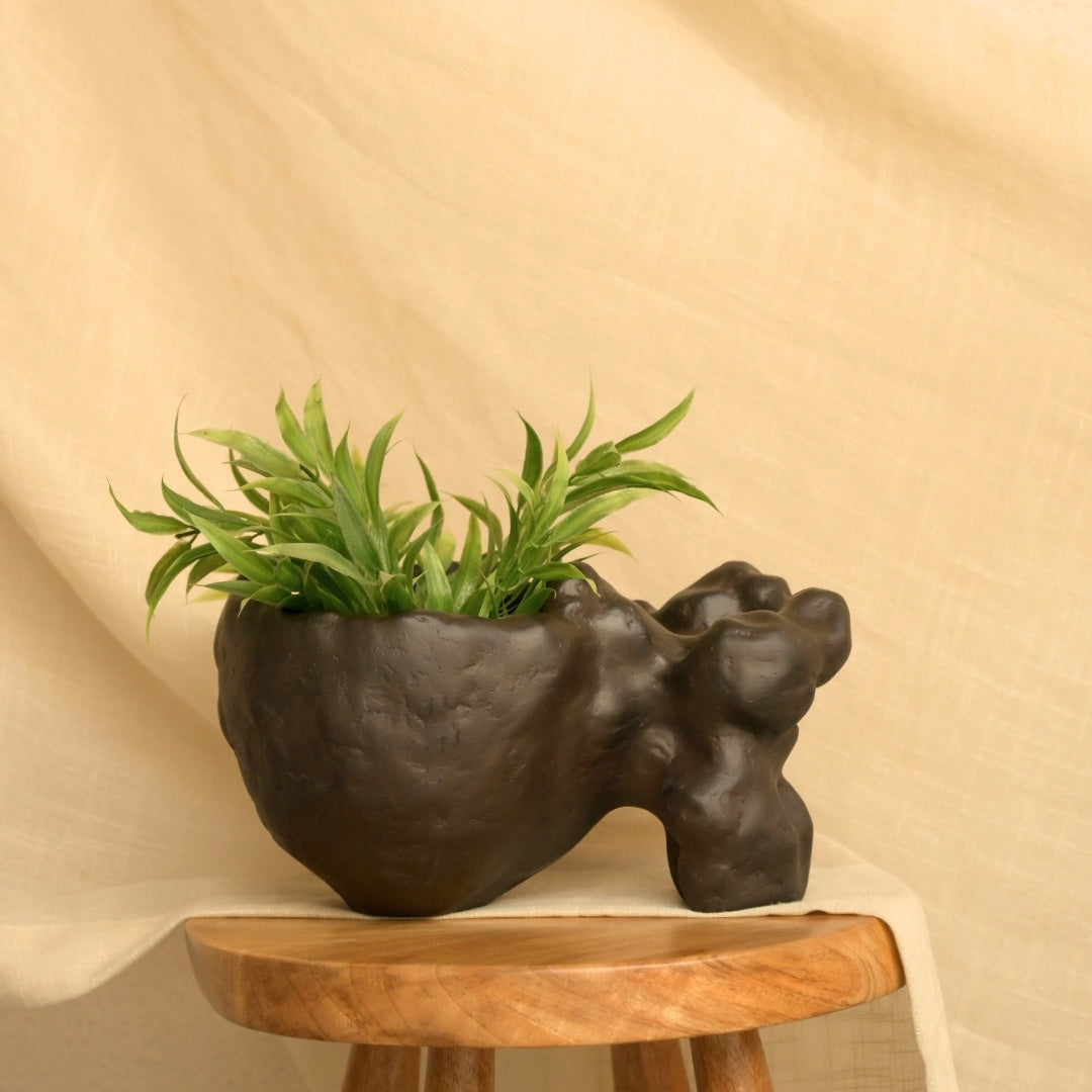 Rasa Organic Object