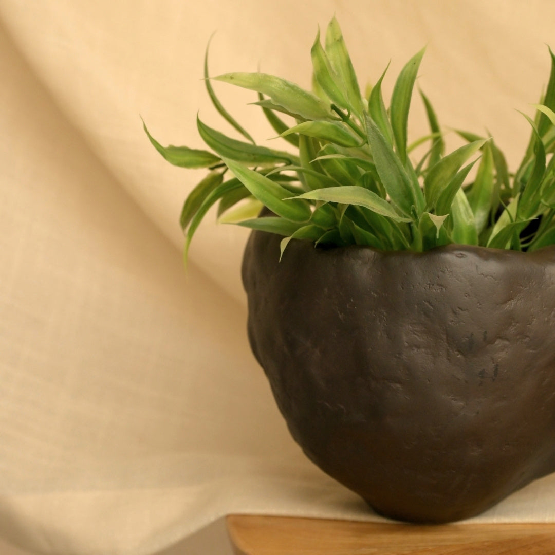 Rasa Organic Object