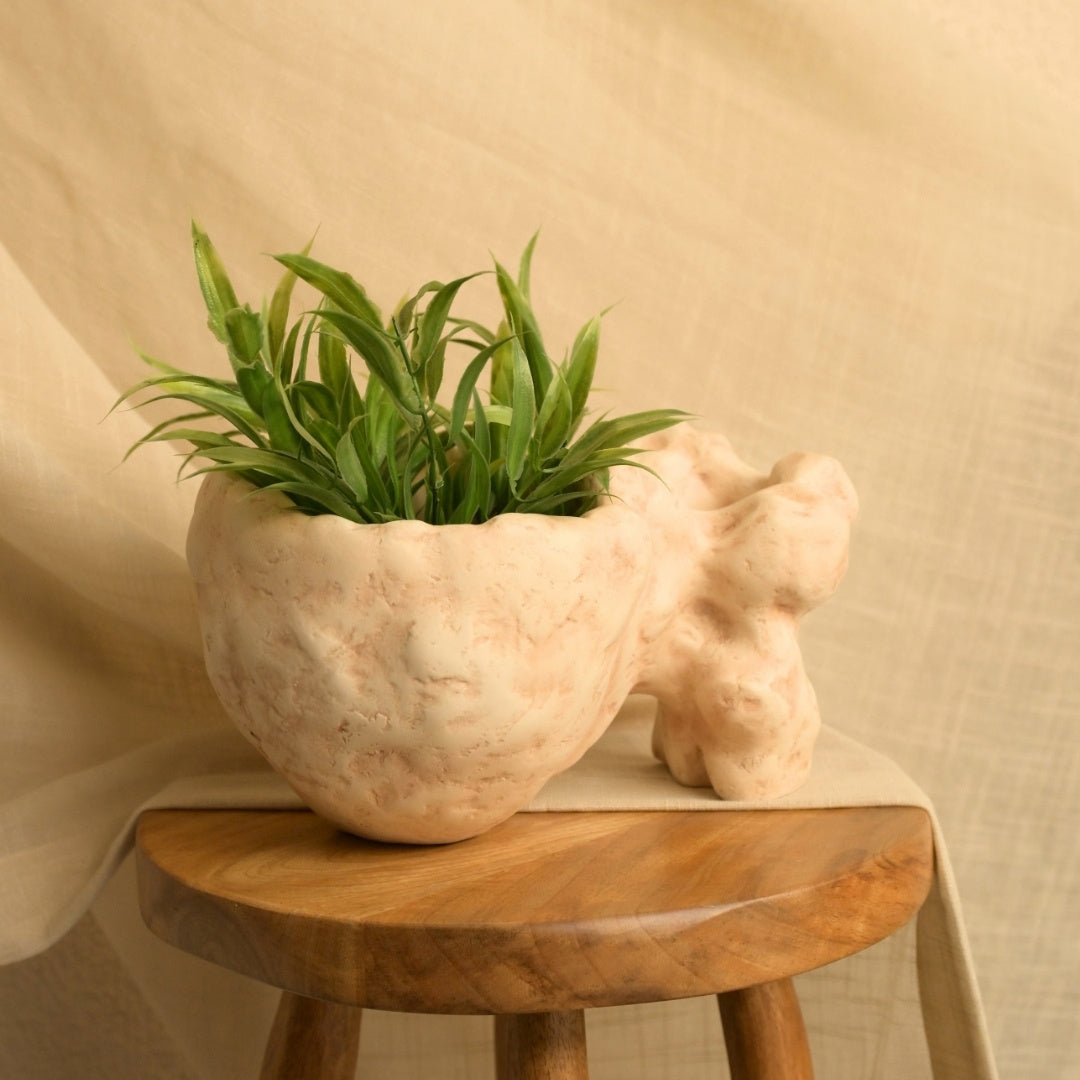 Rasa Organic Object