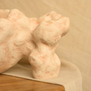 Rasa Organic Object