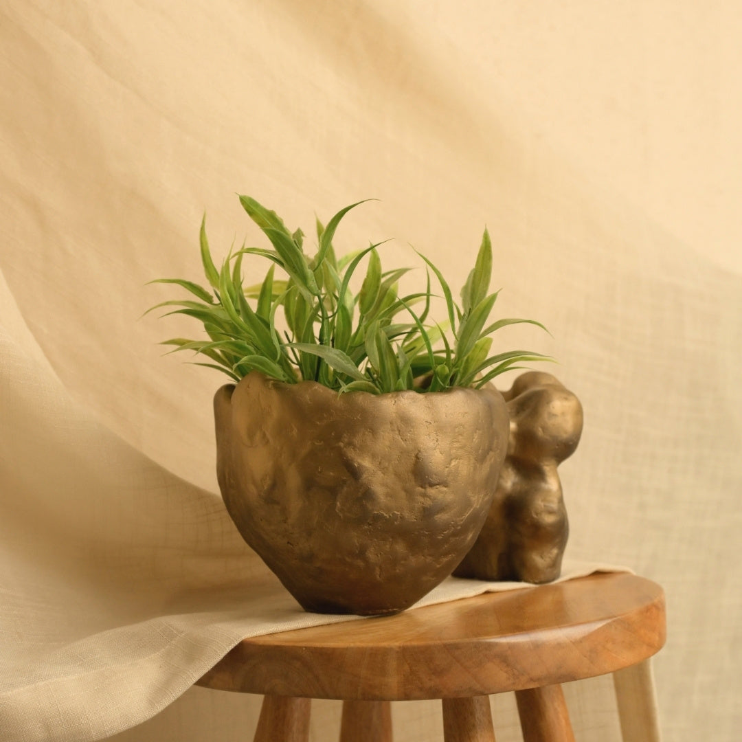 Rasa Organic Object
