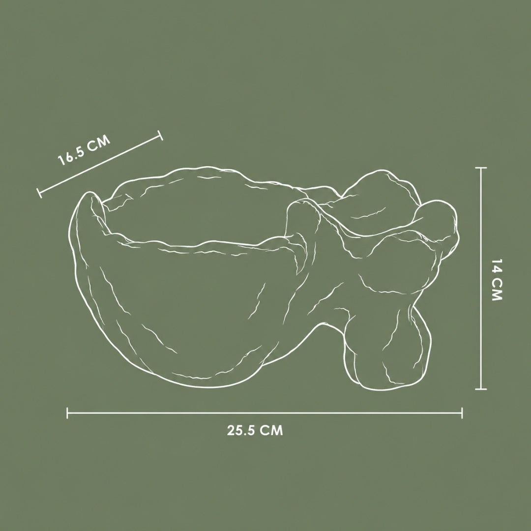 Rasa Organic Object