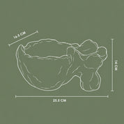 Rasa Organic Object
