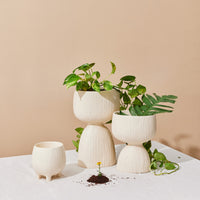 Aden Organic Planter